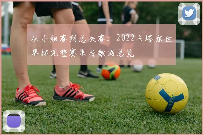 从小组赛到总决赛:2022卡塔尔世界杯完整赛果与数据总览