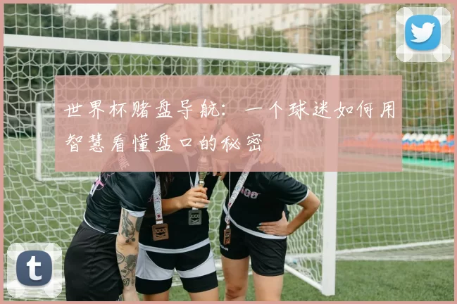 世界杯赌盘导航:一个球迷如何用智慧看懂盘口的秘密
