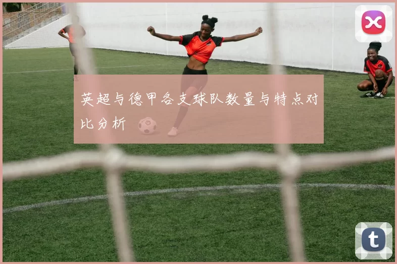 英超与德甲各支球队数量与特点对比分析