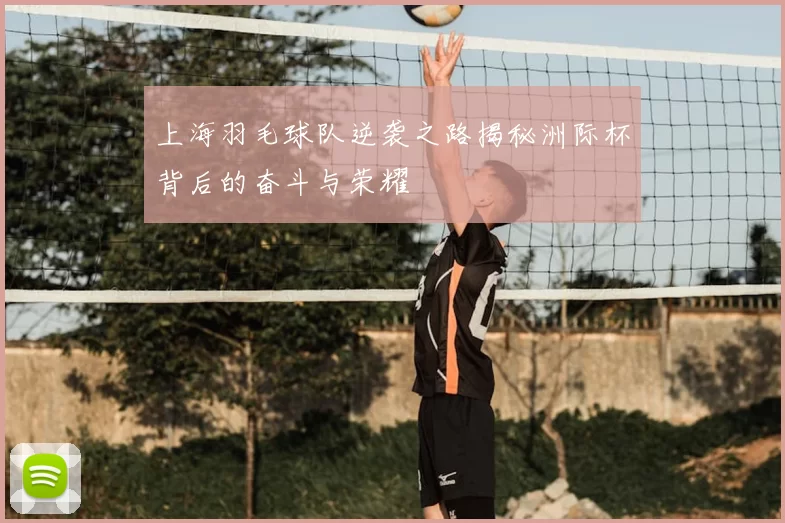 上海羽毛球队逆袭之路揭秘洲际杯背后的奋斗与荣耀