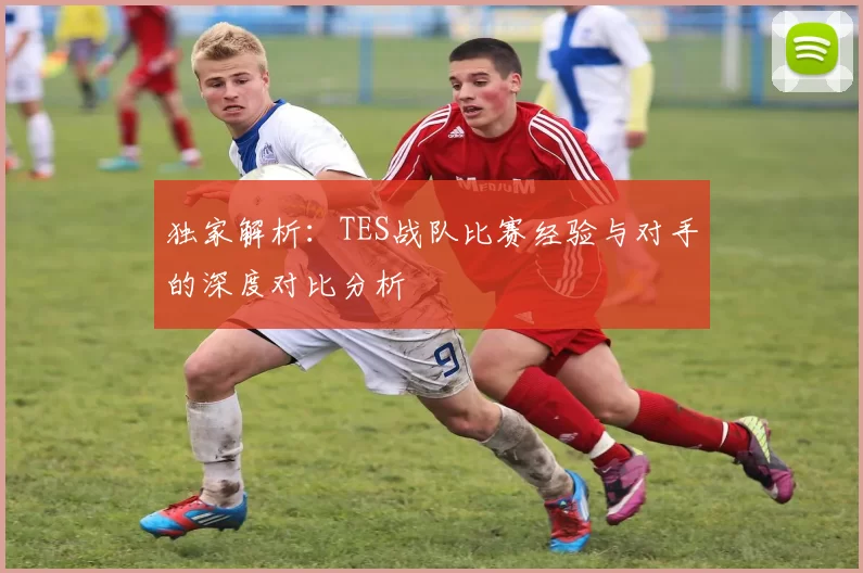 独家解析:TES战队比赛经验与对手的深度对比分析