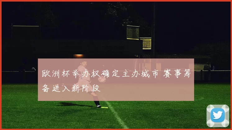 欧洲杯举办权确定主办城市 赛事筹备进入新阶段