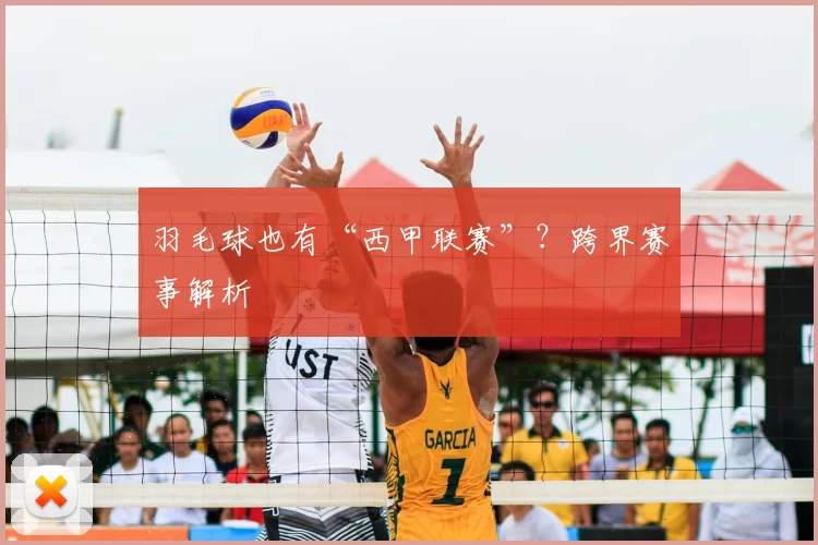羽毛球也有“西甲联赛”？跨界赛事解析