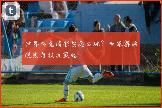 世界杯竞猜彩票怎么玩?专家解读规则与投注策略