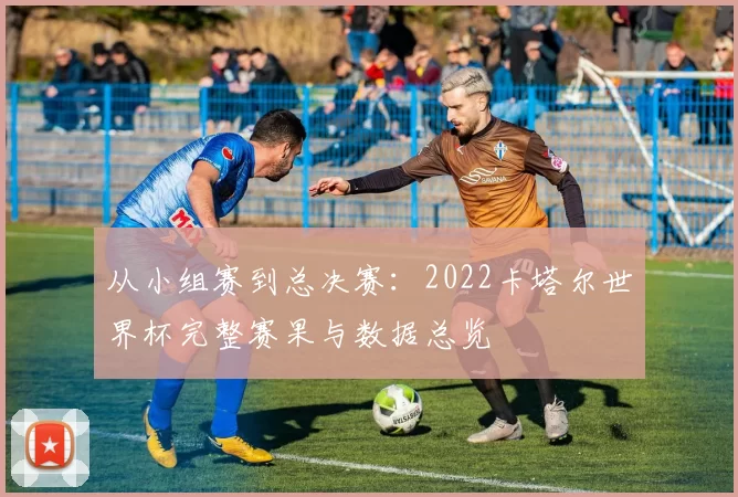 从小组赛到总决赛：2022卡塔尔世界杯完整赛果与数据总览