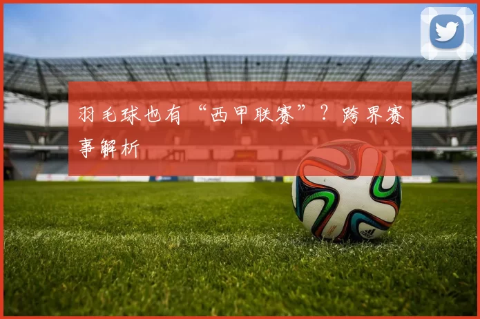 羽毛球也有“西甲联赛”？跨界赛事解析