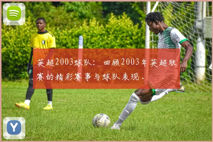 英超2003球队：回顾2003年英超联赛的精彩赛事与球队表现 .