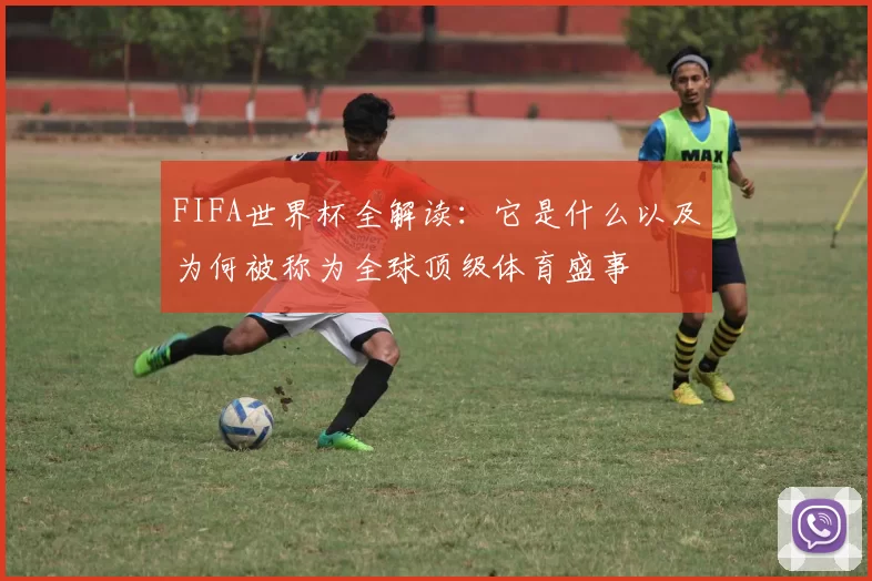 FIFA世界杯全解读:它是什么以及为何被称为全球顶级体育盛事