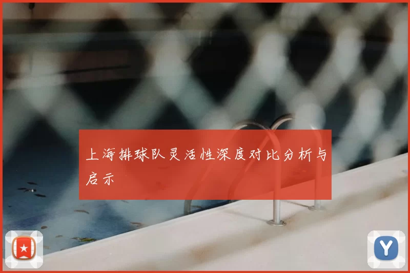 上海排球队灵活性深度对比分析与启示