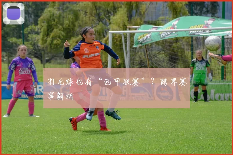 羽毛球也有“西甲联赛”？跨界赛事解析