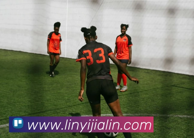 爱游戏体育平台生态图